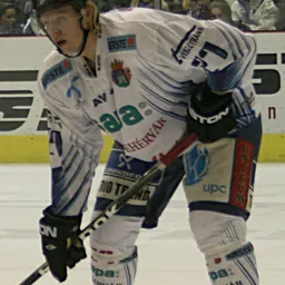 Portrait of Niklas Andersson