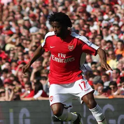 Portrait of Alex Song