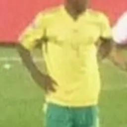 Portrait of Aaron Mokoena