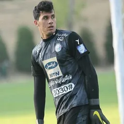 Portrait of Hossein Pour Hamidi