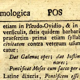 Portrait of Pseudo-Ovidius