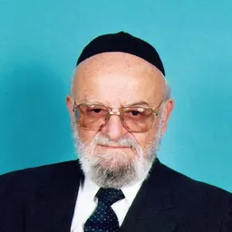 Portrait of Abraham Verdiger