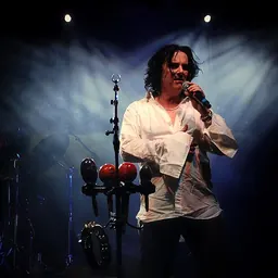 Portrait of Steve Hogarth