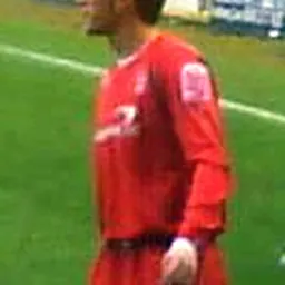 Portrait of Matt Thornhill