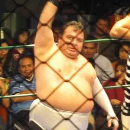 Portrait of Brazo de Plata