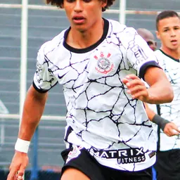 Portrait of Guilherme Biro