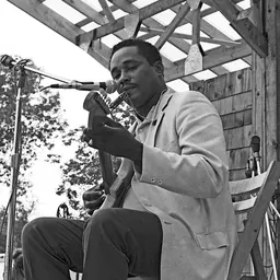 Portrait of Juke Boy Bonner