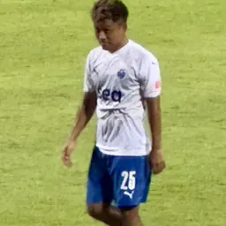 Portrait of Hami Syahin