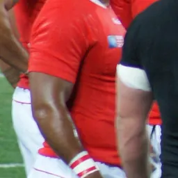 Portrait of Aleki Lutui