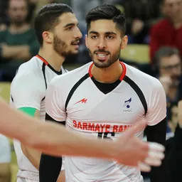 Portrait of Ali Shafiei