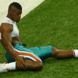 Portrait of Cameron Wake