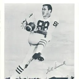 Portrait of Willard Dewveall