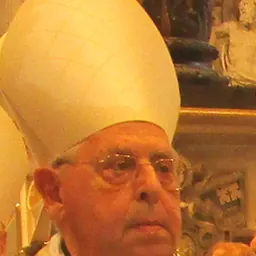 Portrait of Antonio Maria Vegliò