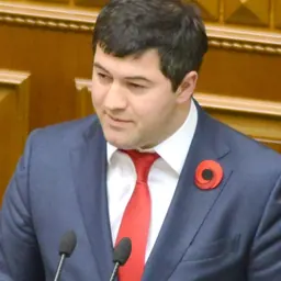 Portrait of Roman Nasirov