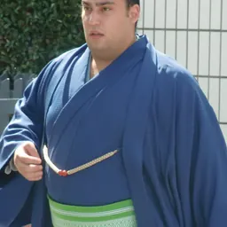 Portrait of Kaisei Ichirō