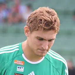 Portrait of Nikica Jelavić
