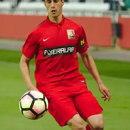 Portrait of Miloš Spasić