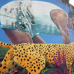Portrait of Seraphino Antao
