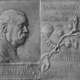 Portrait of Émile Maupas