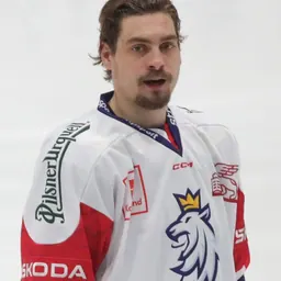 Portrait of David Tomášek