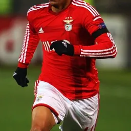 Portrait of Lima
