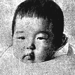 Portrait of Sachiko, Princess Hisa
