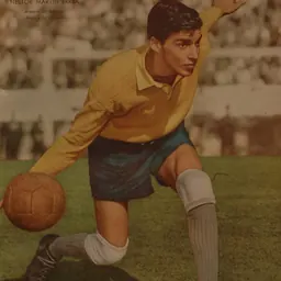 Portrait of Néstor Errea