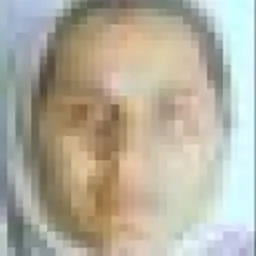 Portrait of Zefnoon Safai