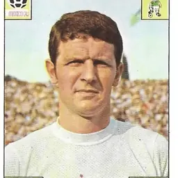 Portrait of Brian Labone