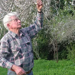 Portrait of Noga Hareuveni
