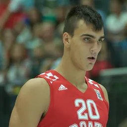 Portrait of Dario Šarić