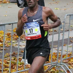 Portrait of Abebe Dinkesa