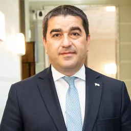 Portrait of Shalva Papuashvili