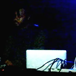 Portrait of XXYYXX