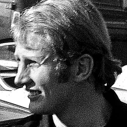Portrait of Helmut Marko