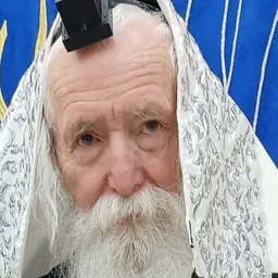 Portrait of Yitzchak Dovid Grossman