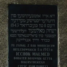 Portrait of Icchok Malmed