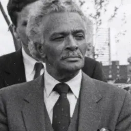 Portrait of Royal Lee Bolling, Sr.