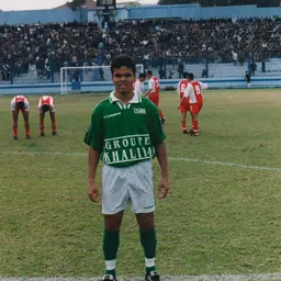 Portrait of Piracaia
