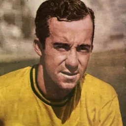 Portrait of Tostão