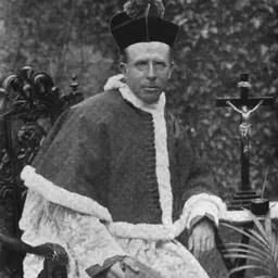Portrait of Patrick Augustine Sheehan