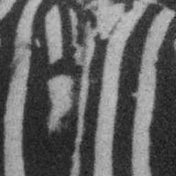 Portrait of Giuseppe Grabbi