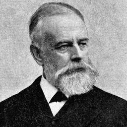 Portrait of Olof Hermelin