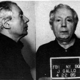 Portrait of Joseph N. Gallo