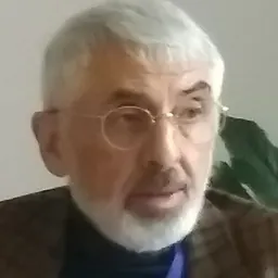 Portrait of Vladimir Socor
