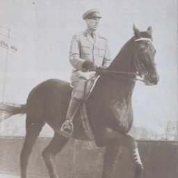 Portrait of Nicolae Mihalcea