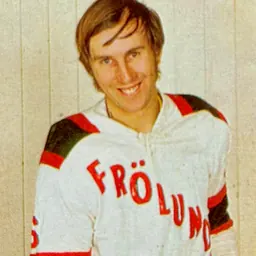 Portrait of Leif Henriksson