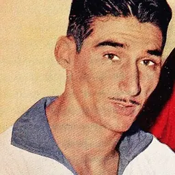 Portrait of Júlio Botelho