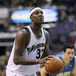 Portrait of Andray Blatche