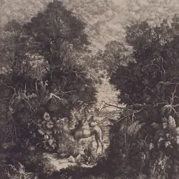 Portrait of Rodolphe Bresdin